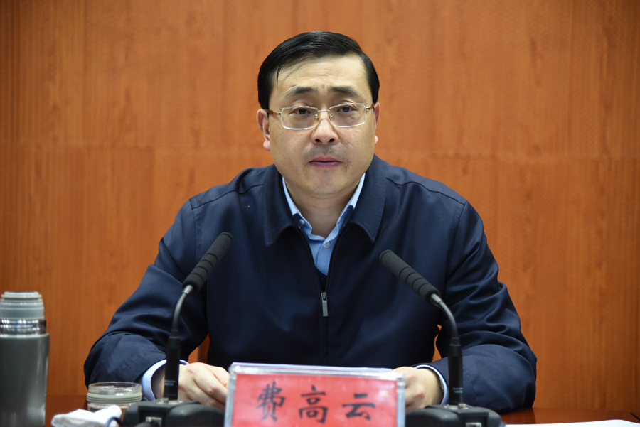 2、市长费高云作讲话.JPG