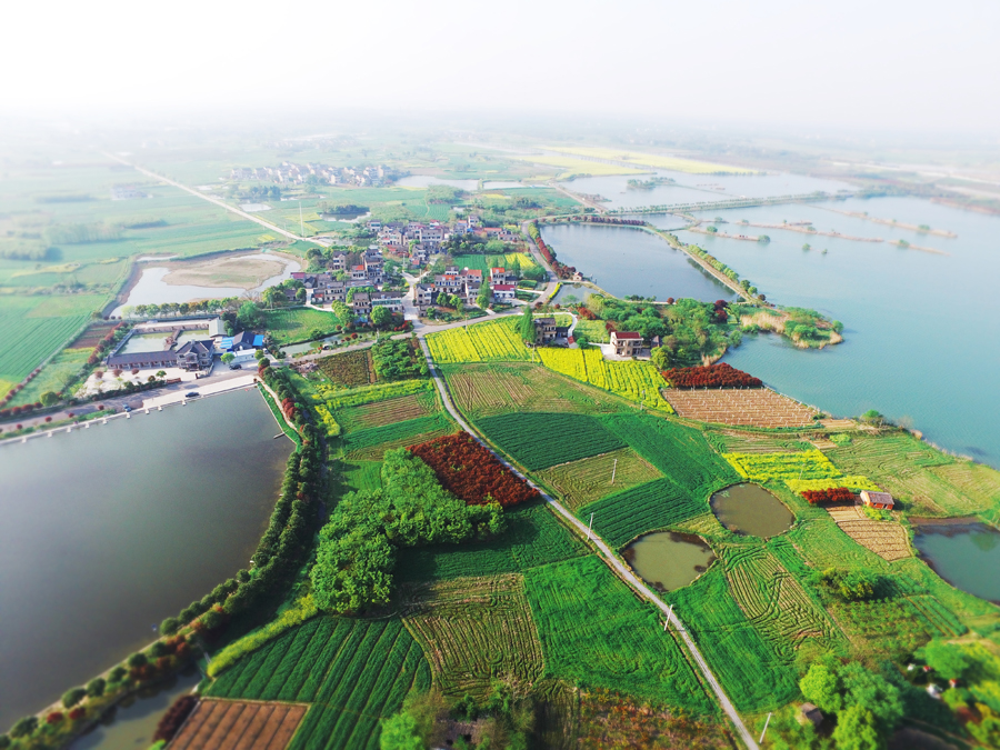 多彩塘马湿地.JPG